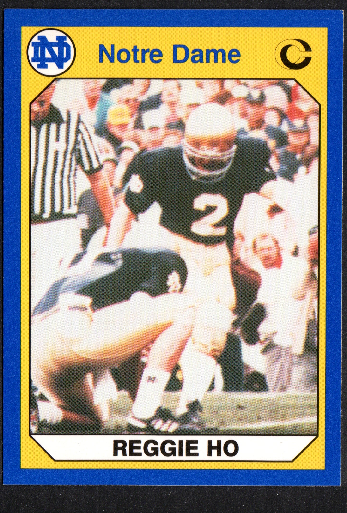 Reggie Ho Notre Dame #36 - 1990 Collegiate Collection