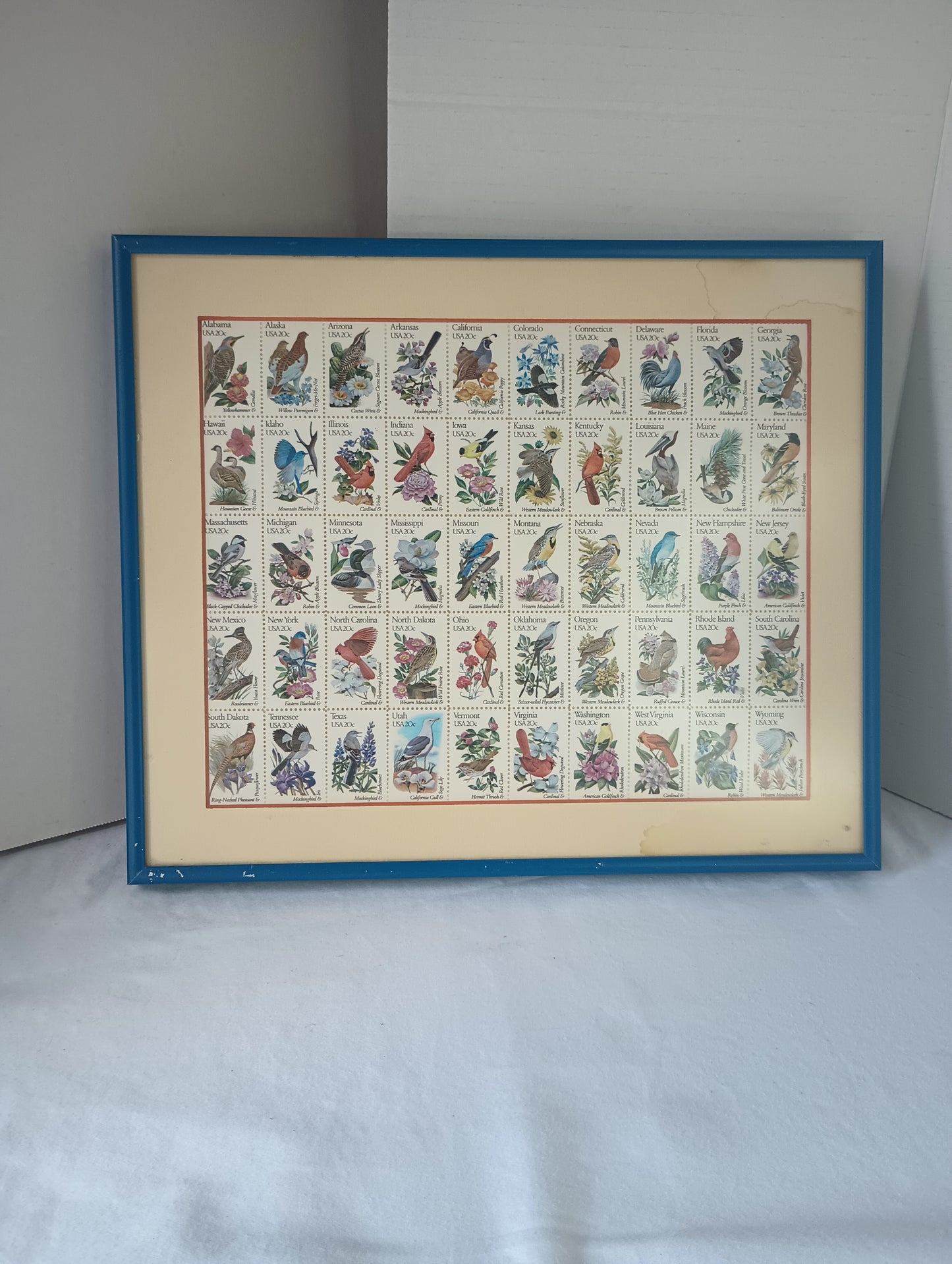 Framed USPS 20 Cent  Commemorative 50 States Bird with state Flower Postage Stamps