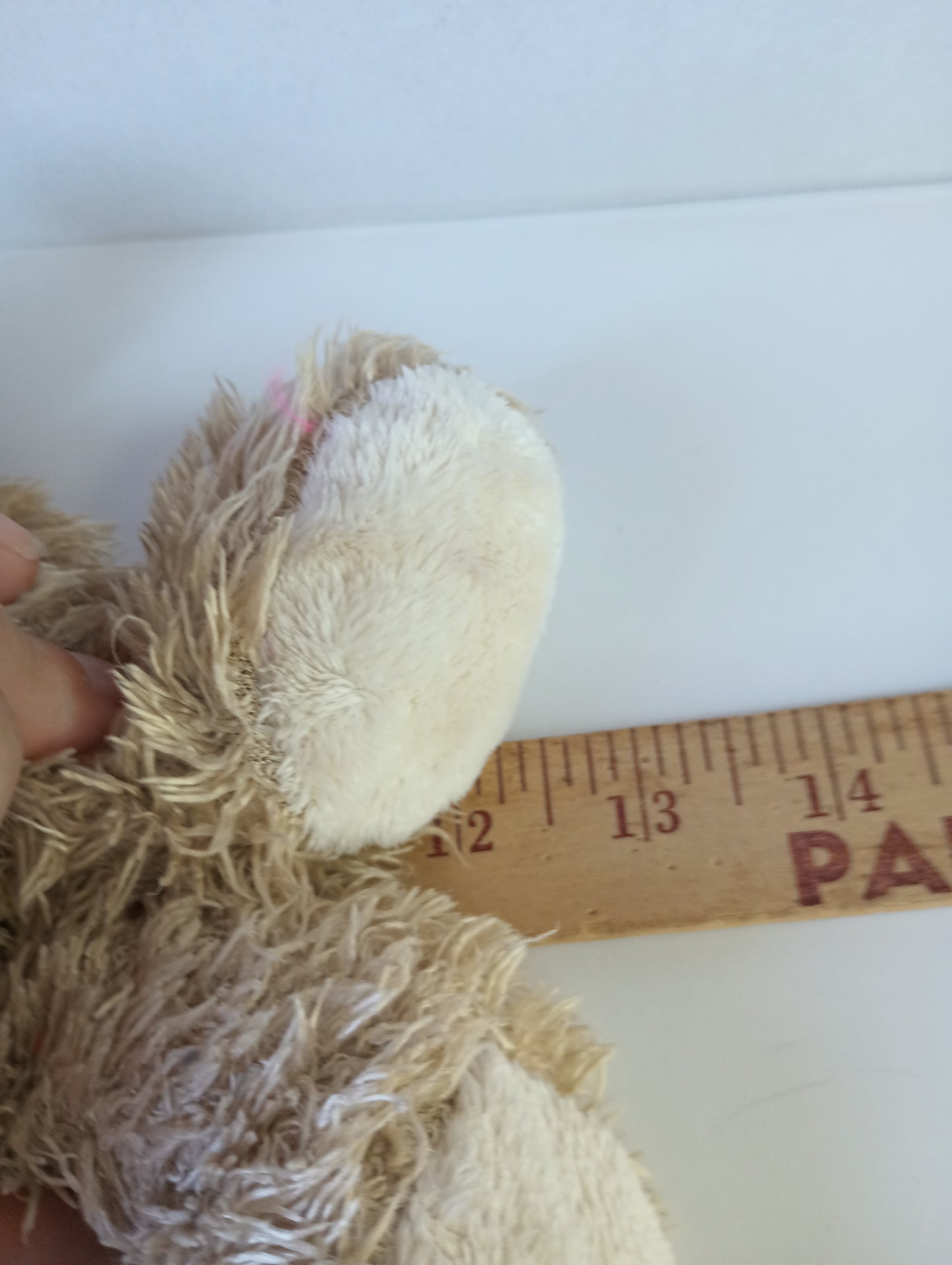 Tan Bear Plush 12"