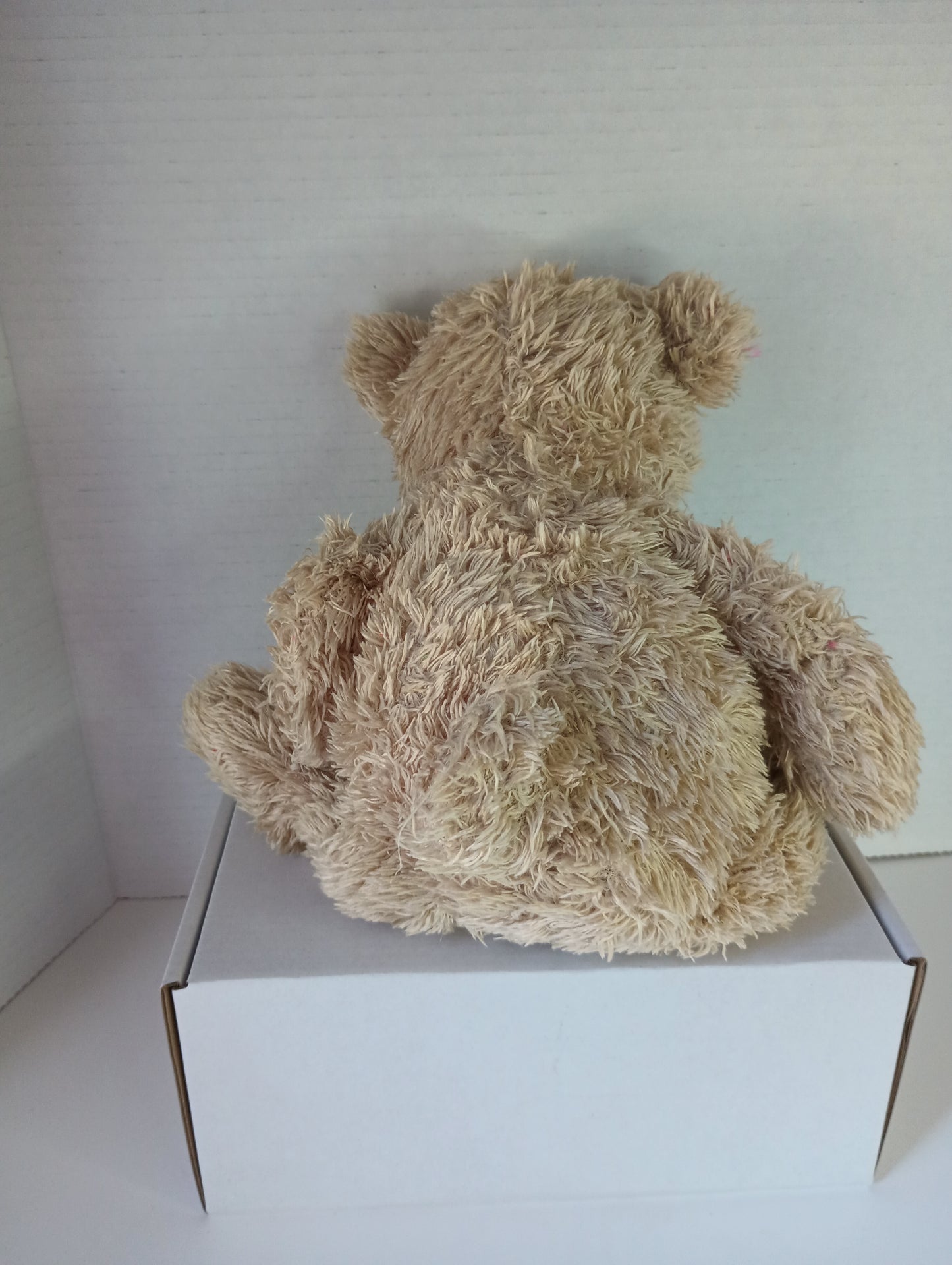 Tan Bear Plush 12"