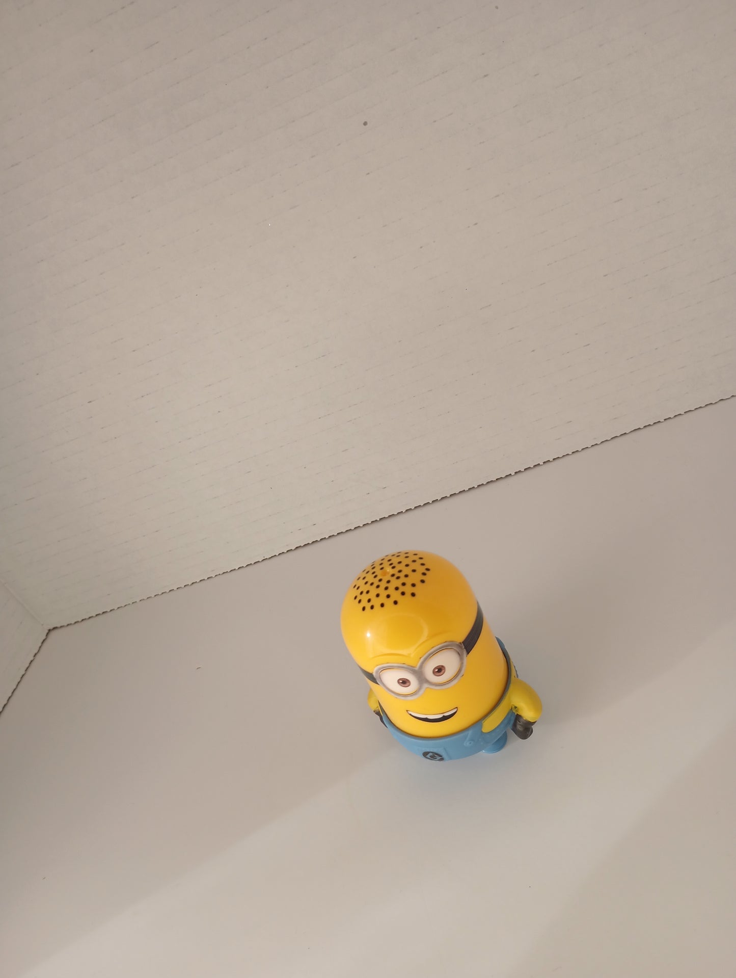 Despicable Me Toy